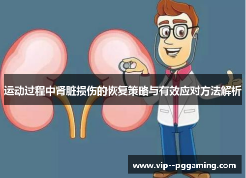 运动过程中肾脏损伤的恢复策略与有效应对方法解析