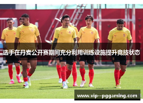 选手在丹麦公开赛期间充分利用训练设施提升竞技状态